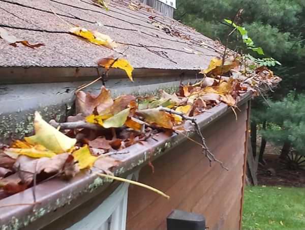 Nassau & Suffolk County clogged gutters